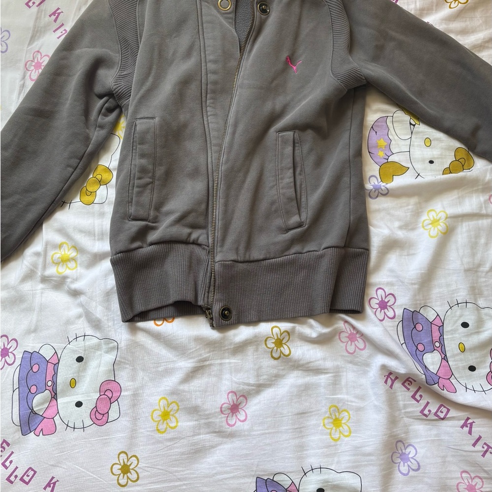 Puma Gray Hoodie Classic Design